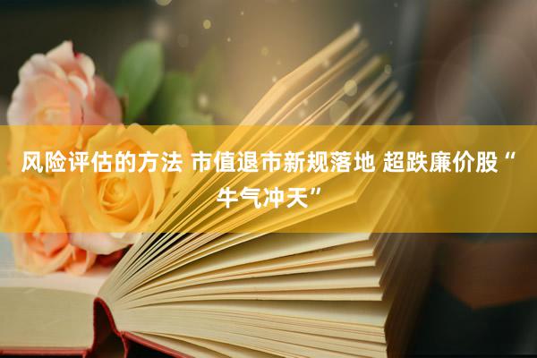 风险评估的方法 市值退市新规落地 超跌廉价股“牛气冲天”