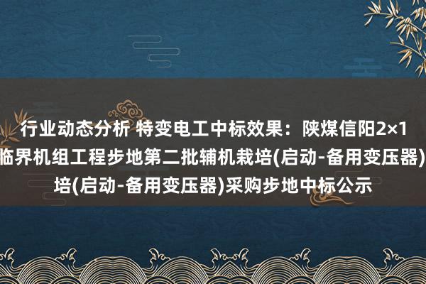 行业动态分析 特变电工中标效果：陕煤信阳2×1000MW高效超超临界机组工程步地第二批辅机栽培(启动-备用变压器)采购步地中标公示