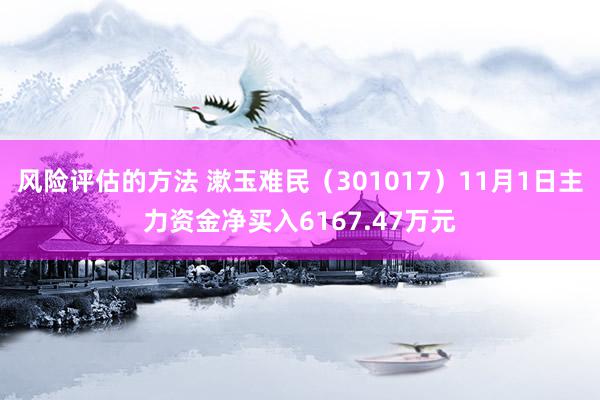 风险评估的方法 漱玉难民（301017）11月1日主力资金净买入6167.47万元