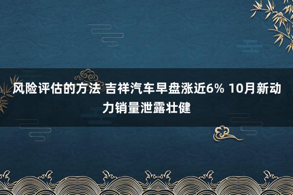 风险评估的方法 吉祥汽车早盘涨近6% 10月新动力销量泄露壮健