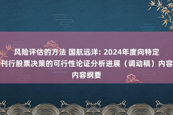 风险评估的方法 国航远洋: 2024年度向特定对象刊行股票决策的可行性论证分析进展（调动稿）内容纲要