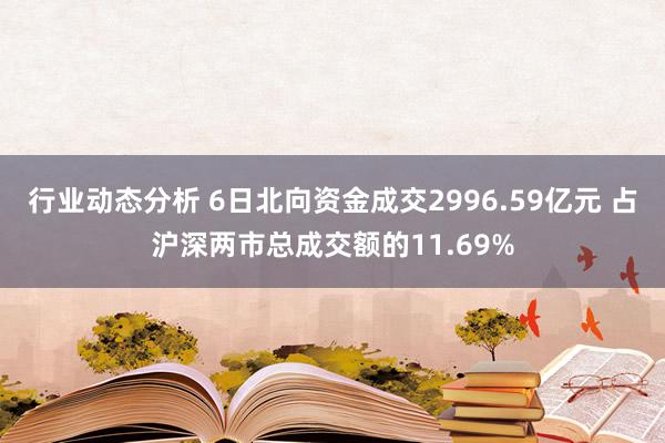 行业动态分析 6日北向资金成交2996.59亿元 占沪深两市总成交额的11.69%