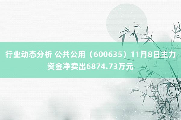 行业动态分析 公共公用（600635）11月8日主力资金净卖出6874.73万元