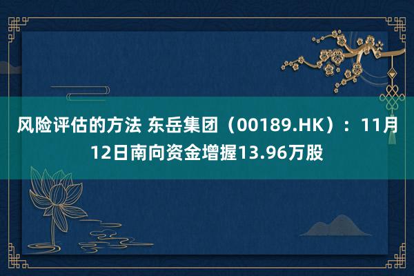 风险评估的方法 东岳集团（00189.HK）：11月12日南向资金增握13.96万股