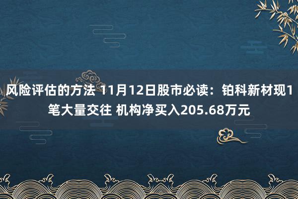 风险评估的方法 11月12日股市必读：铂科新材现1笔大量交往 机构净买入205.68万元