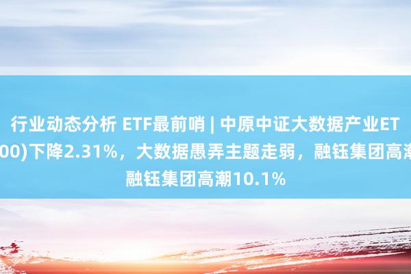 行业动态分析 ETF最前哨 | 中原中证大数据产业ETF(516000)下降2.31%，大数据愚弄主题走弱，融钰集团高潮10.1%